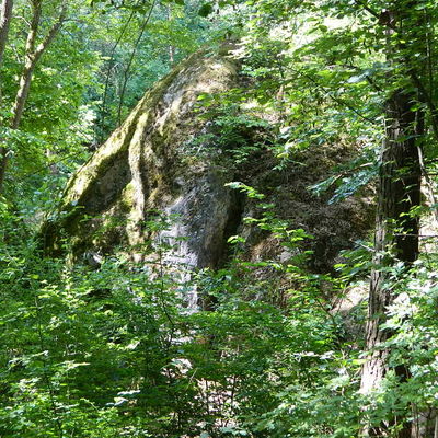 Felsformationen im Bergwerkswald