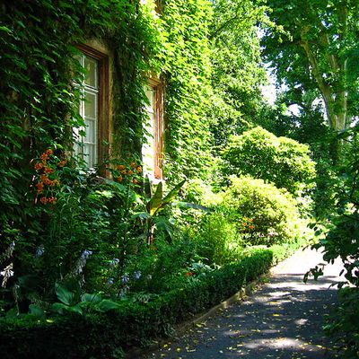 Botanischer Garten - Grünes Haus